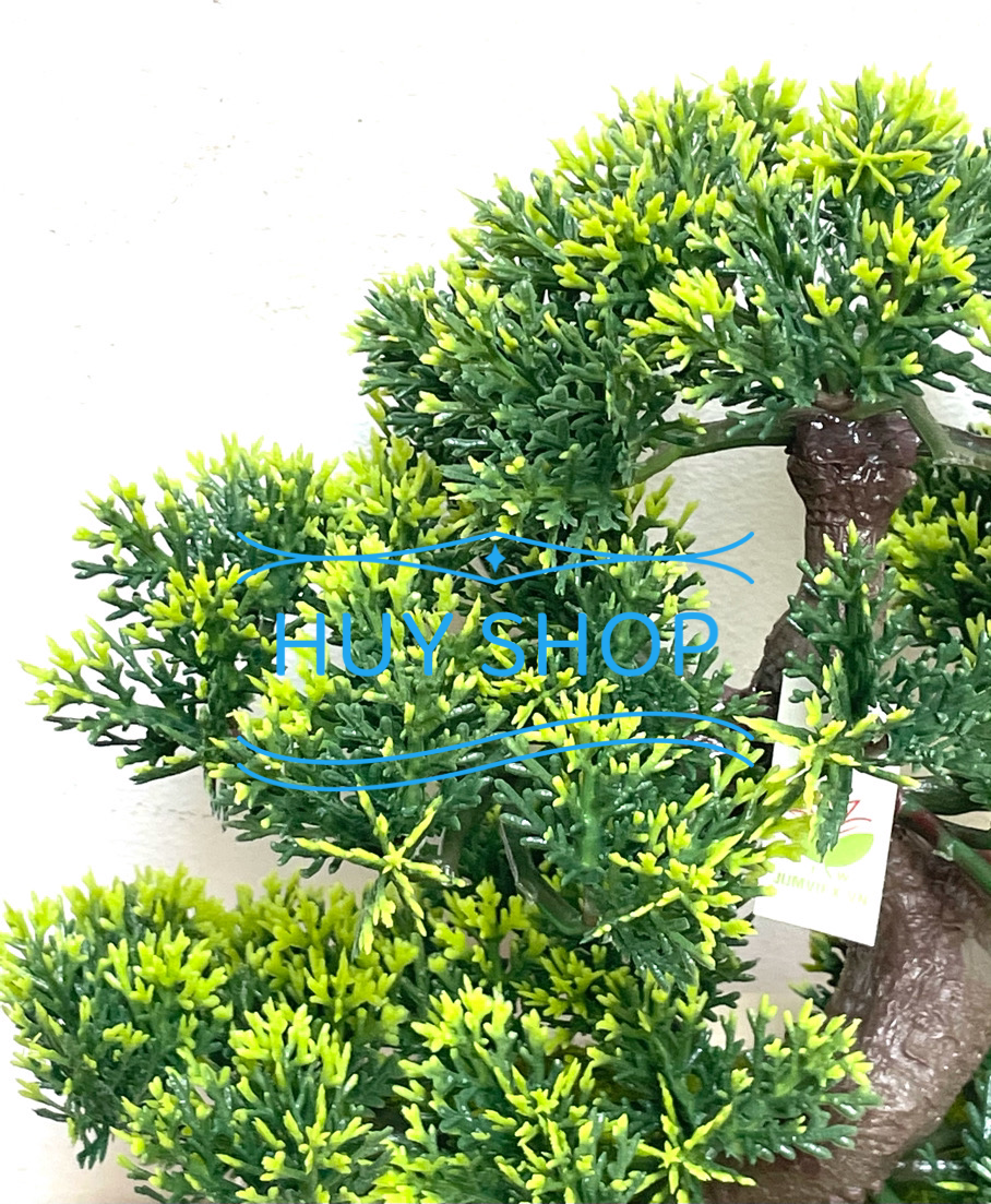 CHẬU TÙNG KIM NHÂN TẠO ĐỂ BÀN 23x25CM SỐ 1