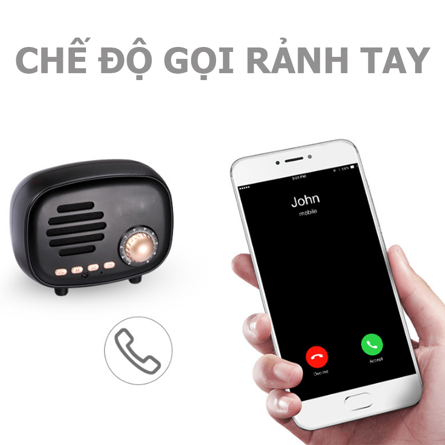 Loa Nghe Nhạc FT-BT01Hỗ Trợ Bluetooth, Thẻ Nhớ, Nghe Đài FM