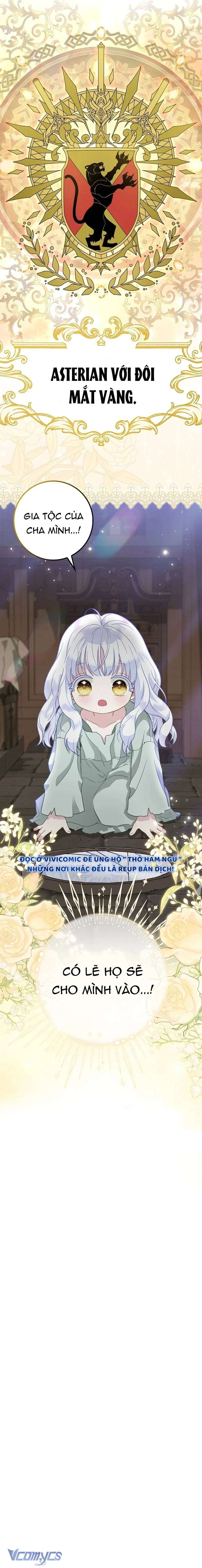 bé con báo tuyết của gia tộc báo đen chapter 1 17