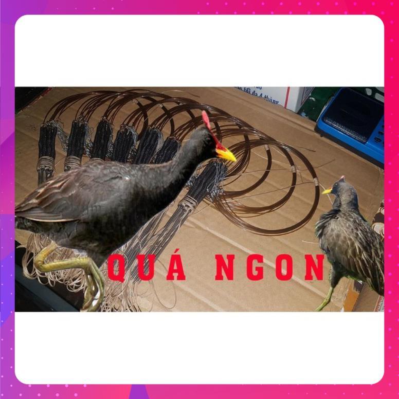 1 bộ giò cỏ khô 20 vòng dài 2 mét, bẫy cúm núm , gà đồng , làm từ cước nhật,khoen đồng,mua về là sử dụng