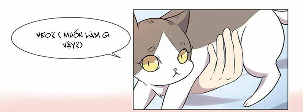 hai chú mèo totem chapter 37 68