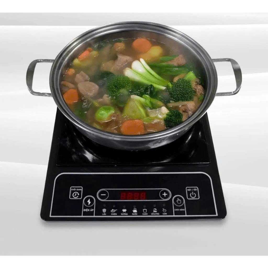 Bếp từ Đạt Tường chính hãng công suất 2000W, bếp điện từ 8 chế độ nấu đa năng, tặng kèm nồi lẩu 28cm