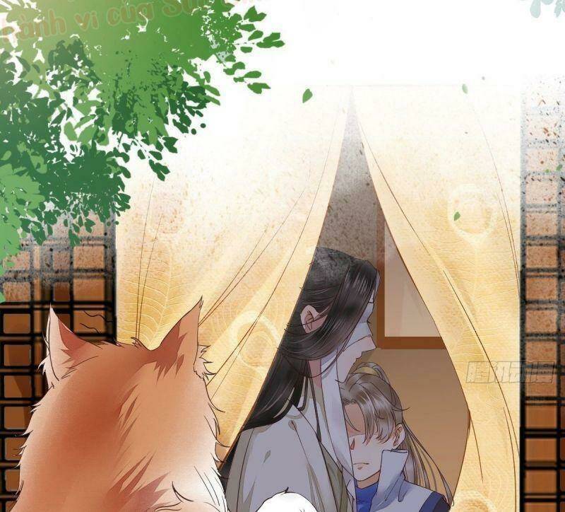 sát thủ vương phi không dễ chọc chapter 31 29