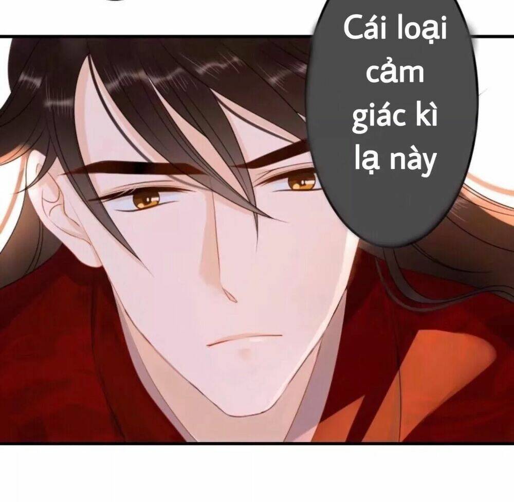 sủng phi của vương chapter 56 29