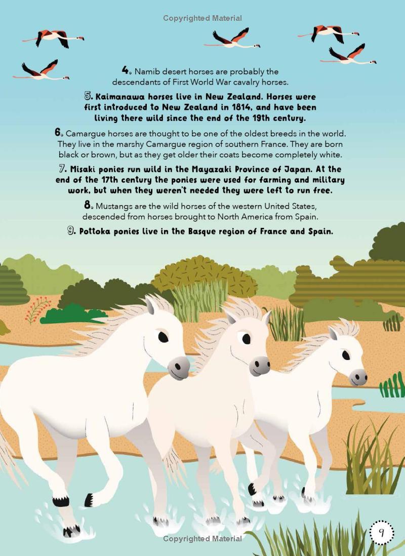 Sách ngoại văn: Lists For Curious Kids - Animals