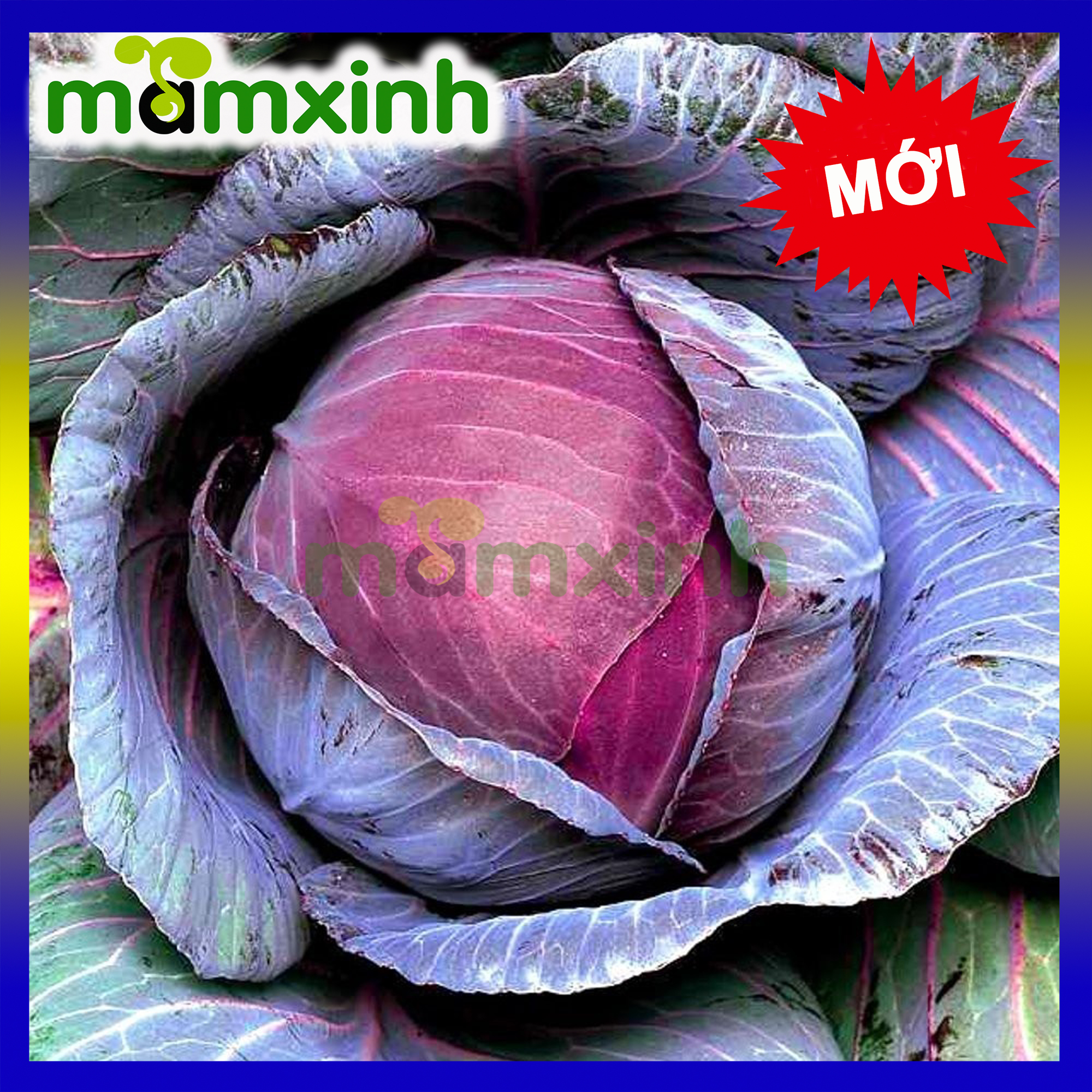 Hạt Giống Bắp Cải Tím Nhật Bản Gói 1gr