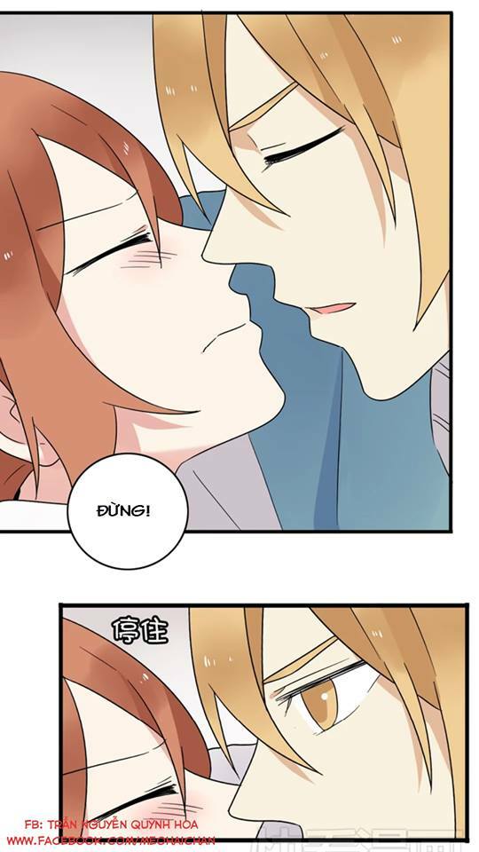 tình yêu! bắt đầu từ ngày hôm nay chapter 8 24