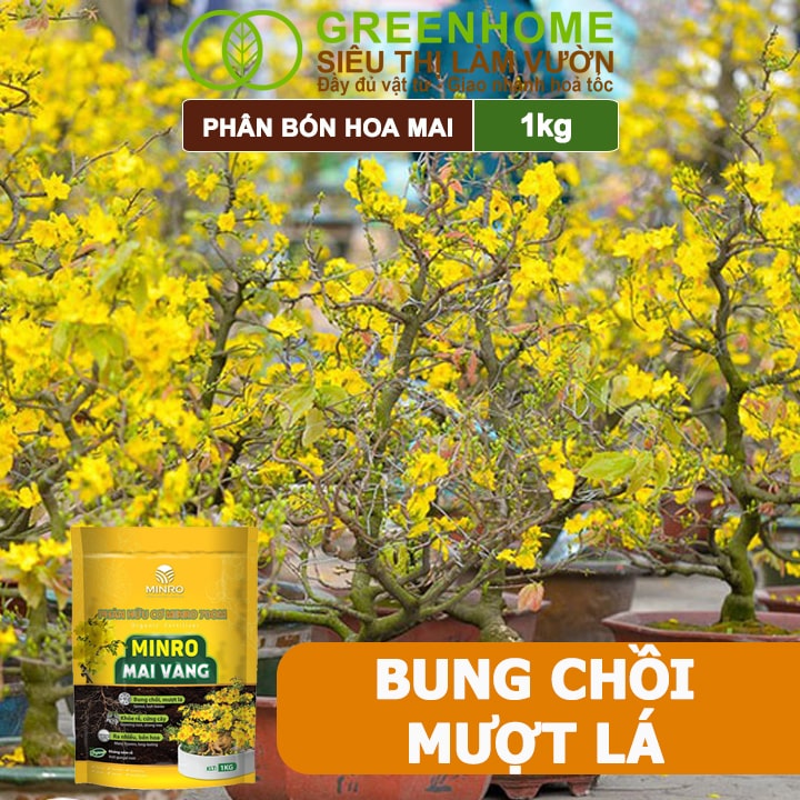 Phân Bón Hoa Mai Greenhome, Minro, Bao 1kg, Hữu Cơ, Dưỡng Cây, Bung Chồi, Mượt Lá, Khoẻ Rễ, Bền Hoa
