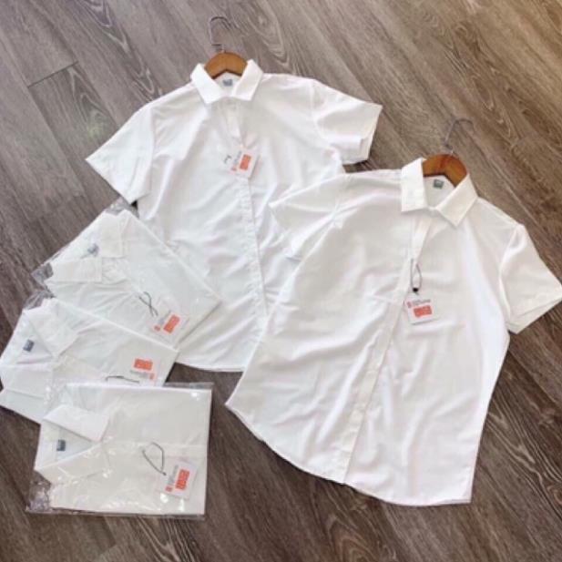 Áo sơ mi trắng tay cộc