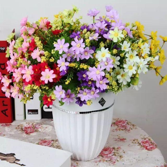 Hoa Cánh Bướm Hoa Cúc Nhí cao 35cm, nhiều màu - hoa cắm lọ, hàng rào, cành điểm