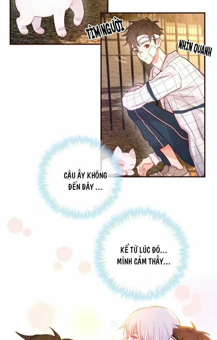 trú dạ liên miên chapter 16 35