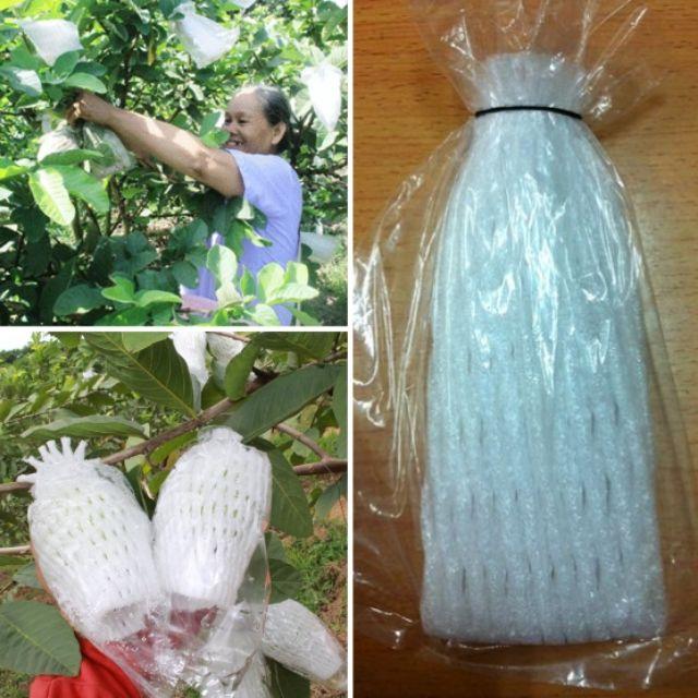 DÂY CHUN BUỘC BAO TRÁI CHỊU NHIỆT CAO CẤP - SET 500GR