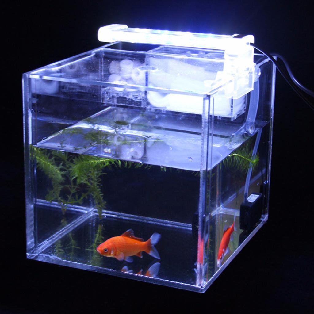 Tropical Betta Mini Tank Arcylic Aquarium Small Tank