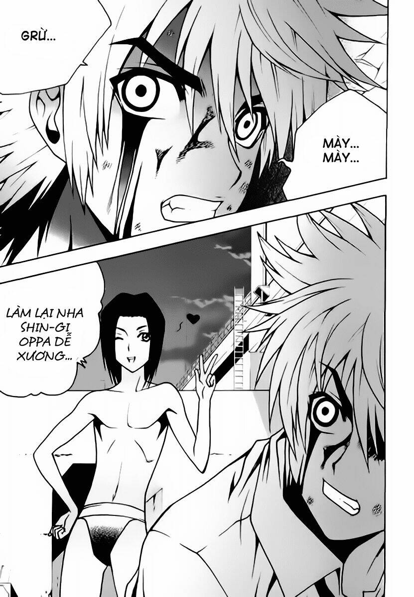 zippy ziggy chapter 56 21