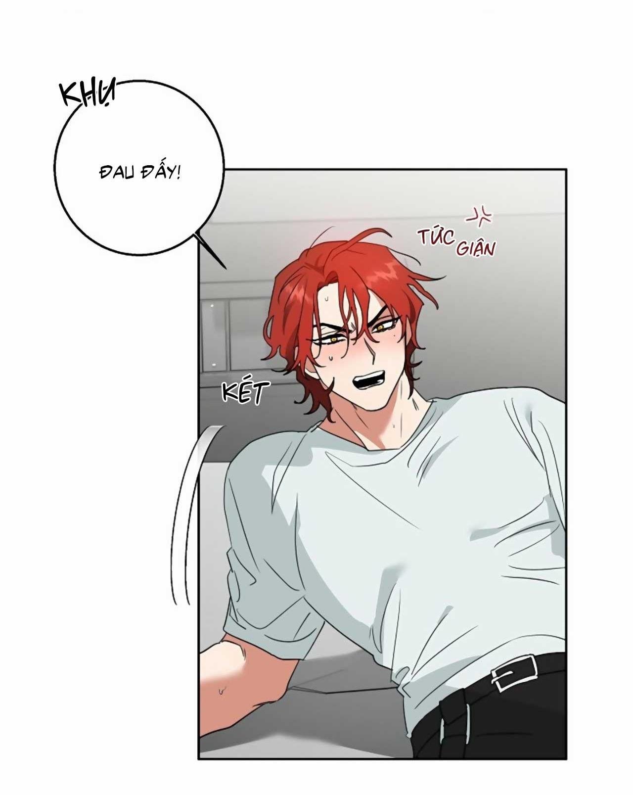 sói già và cáo nhỏ chapter 1 3