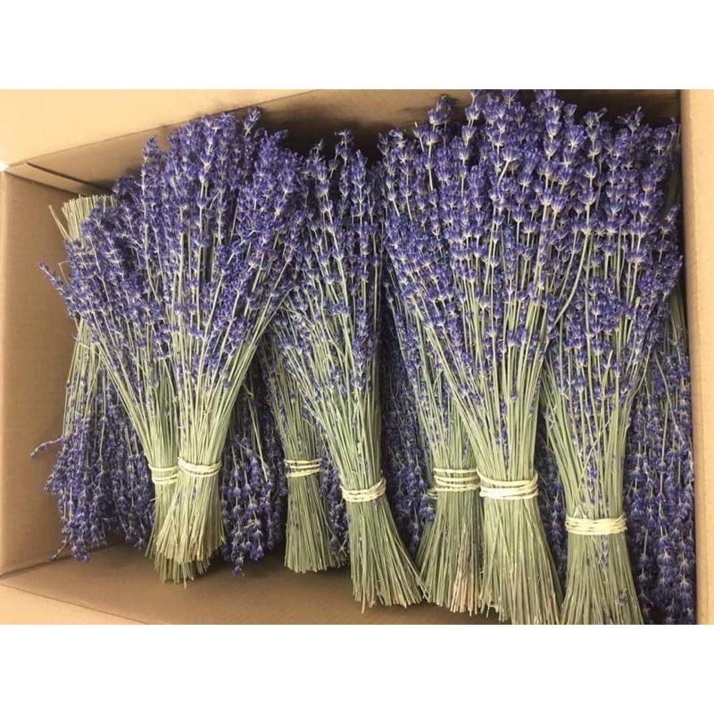 Hoa oải hương khô, Hoa lavender Pháp, Hoa khô tặng quà
