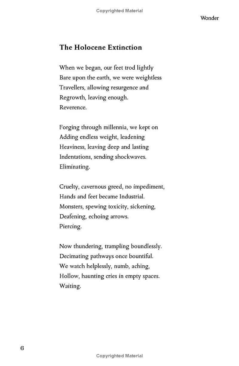 Sách ngoại văn: Wonder - The Natural History Museum