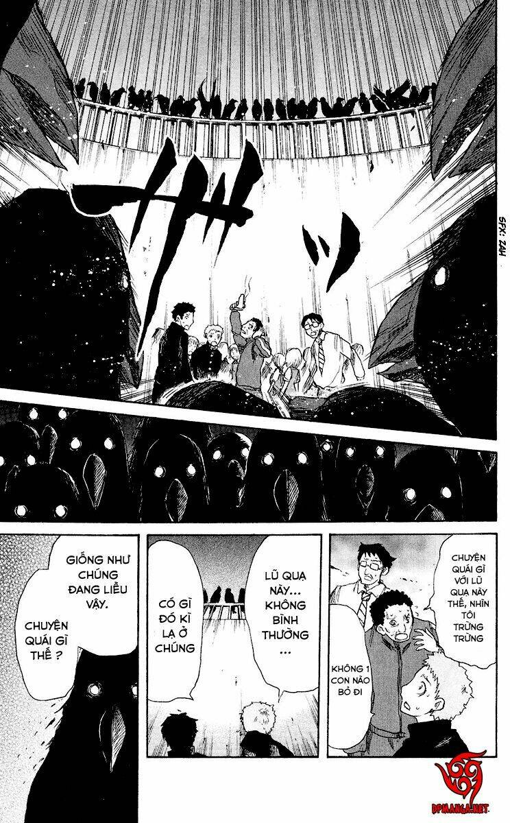 cerberus chapter 37 10