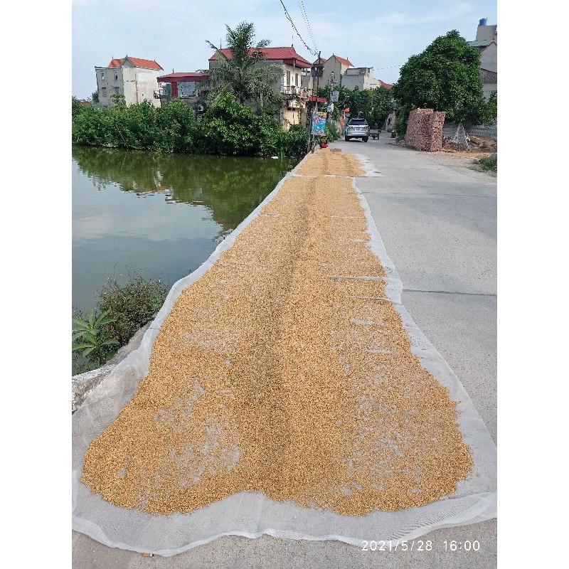 LƯỚI PHƠI THÓC _ PHƠI HOA QUẢ_ HẠT NÔNG NGHIỆP _ PHƠI HẢI SẢN ,tôm , cua ,cá ,ốc