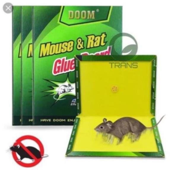 Keo dính bẫy chuột siêu dính Mouse traps xanh trắng