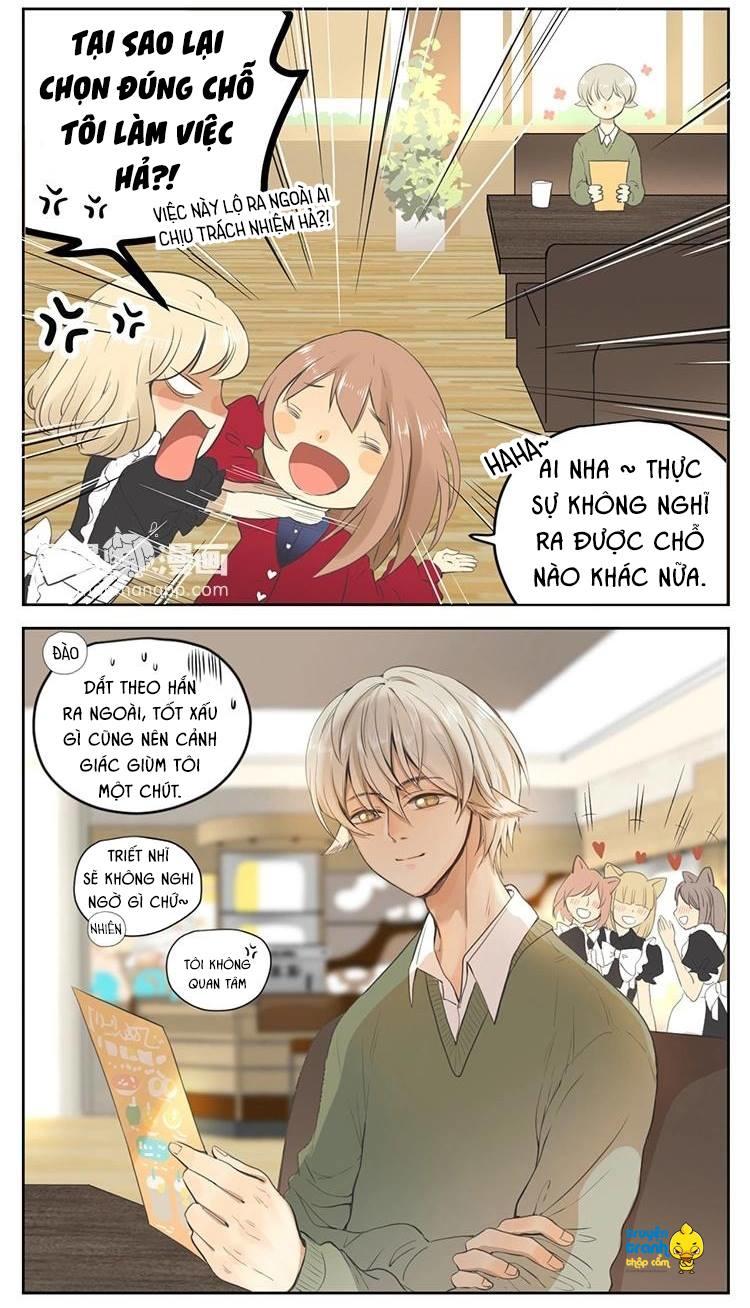 cứu mạng ! loài mèo thống trị thế giới rồi ! chapter 27 9