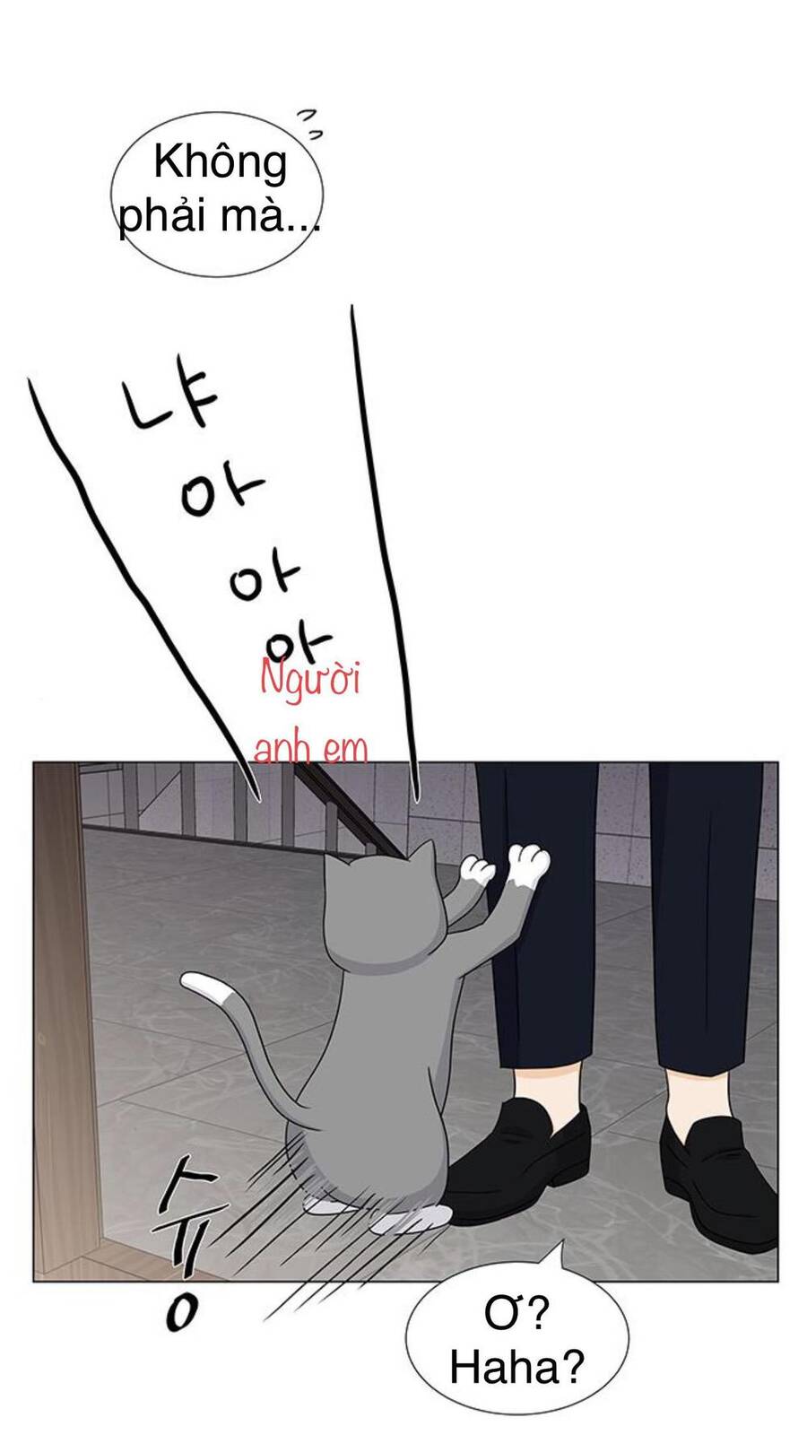 idol và sếp, em yêu ai? chapter 102 17