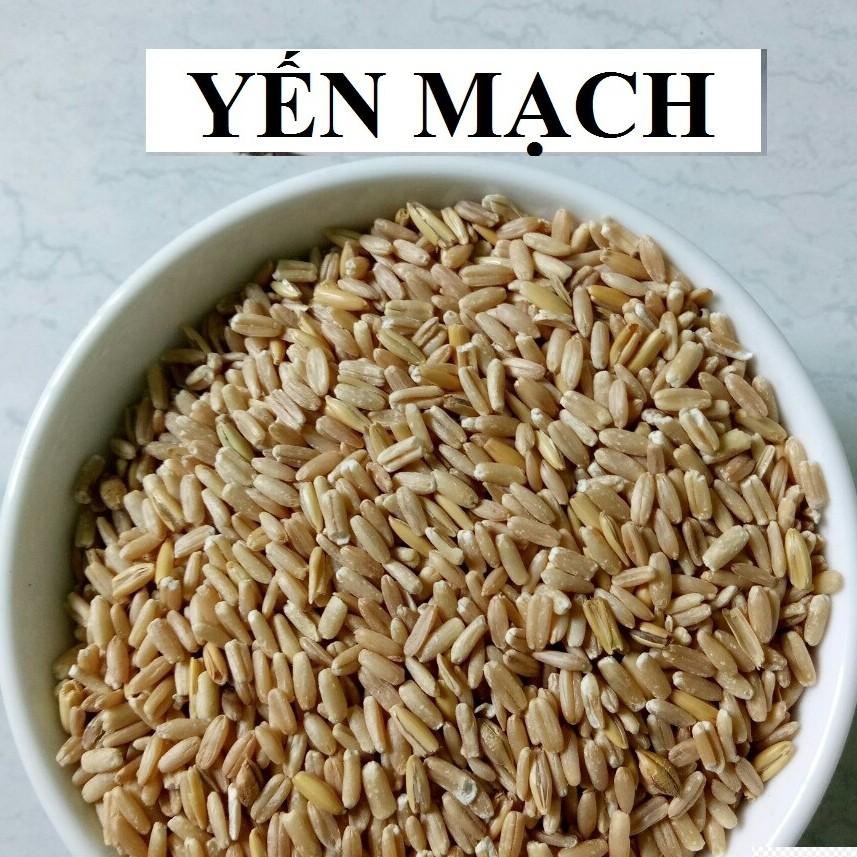 100G HẠT YẾN MẠCH ĐÃ BÓC VỎ CHO CHIM,VẸT,HAMSTER