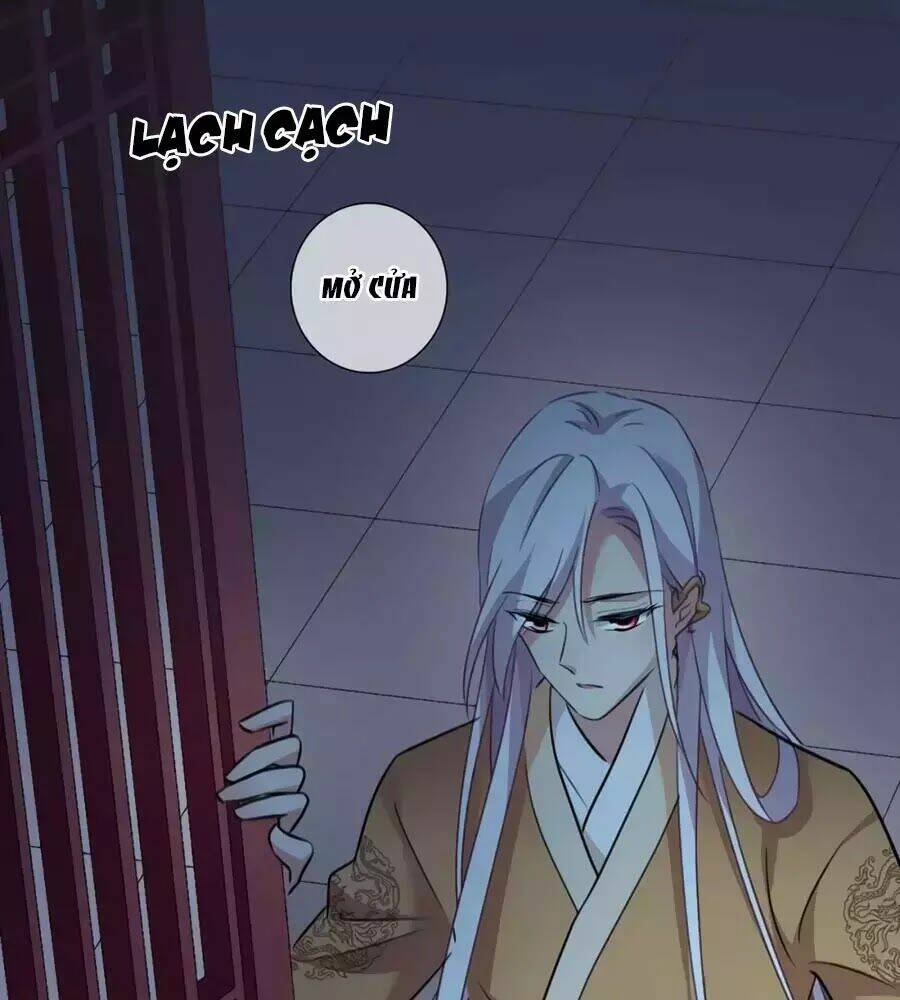 toàn cơ từ chapter 50.2 30