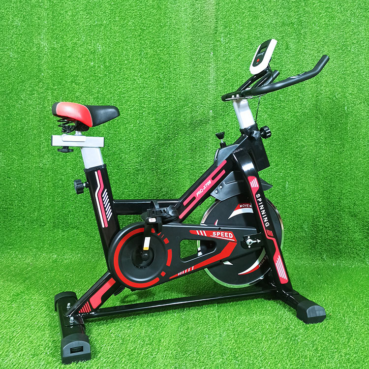Xe đạp tập thể dục Pro Fitness Pro-X709
