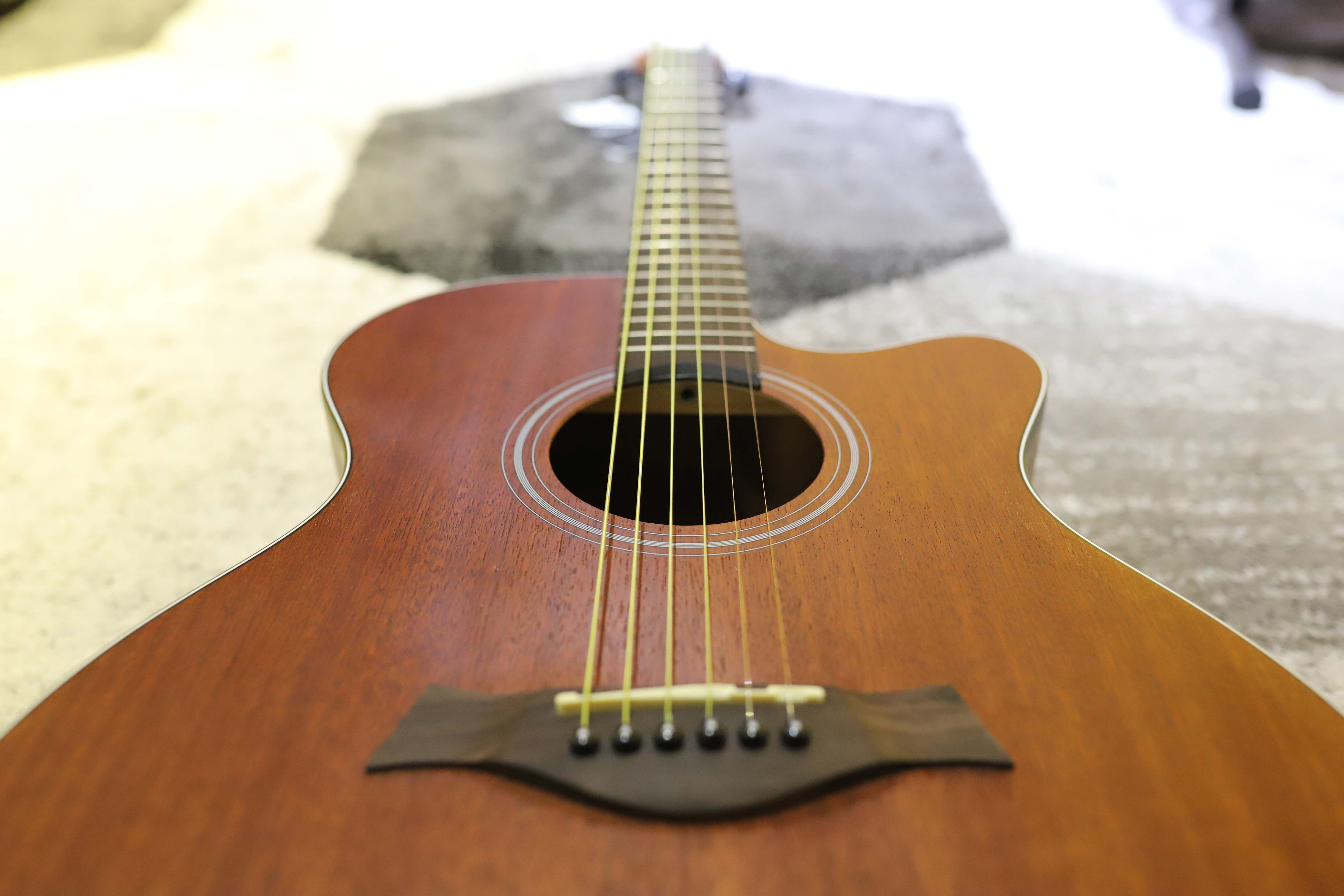 Đàn Guitar Acoustic CHARD F4030C Sapele