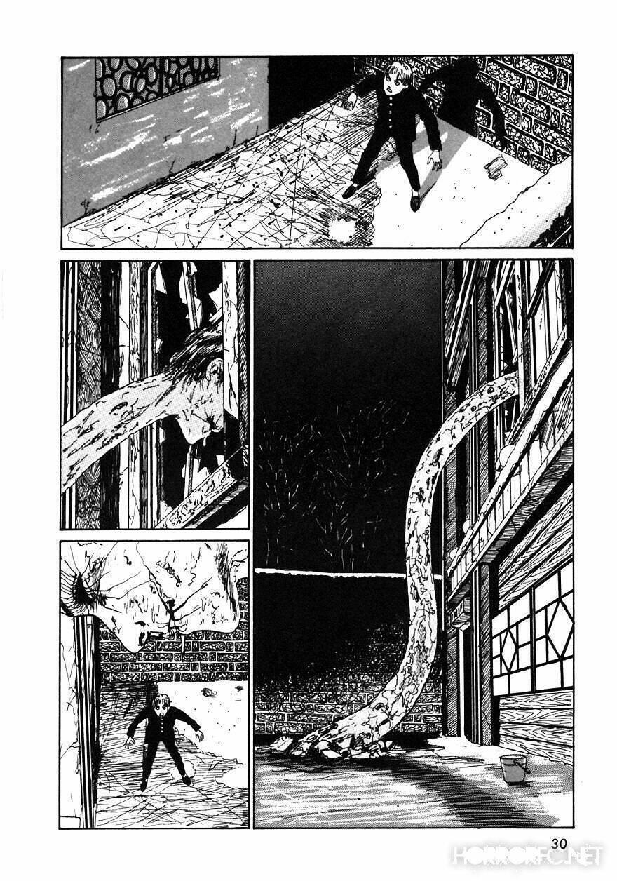 tuyển tập truyện ngắn kinh dị của ito junji chapter 9.1 29