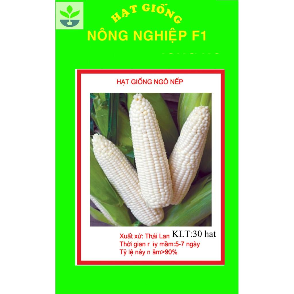Gói 30 hạt giống ngô nếp