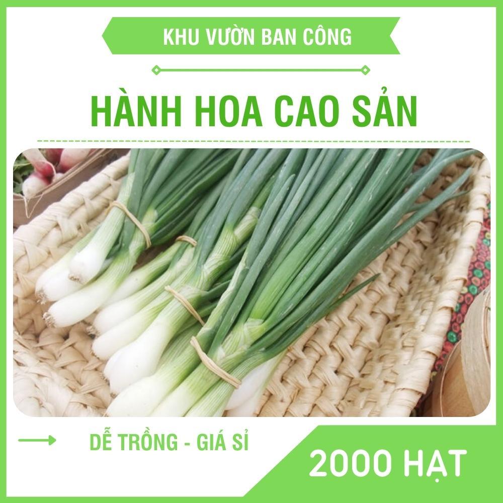 Hạt Giống Hành Hoa Cao Sản Đóng Gói 2000 Hạt - Khu Vườn Ban Công