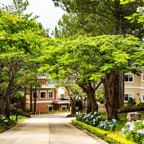 Trọn Gói 3N2D Tại Dalat Edensee Lake Resort 5*. Bao Gồm Ăn Sáng. Tiễn Sân Bay 1 Lượt. Miễn Phí Chèo Thuyền Kayak và Bắn Cung.