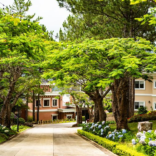 Trọn Gói 3N2D Tại Dalat Edensee Lake Resort 5*. Bao Gồm Ăn Sáng. Tiễn Sân Bay 1 Lượt. Miễn Phí Chèo Thuyền Kayak và Bắn Cung. 