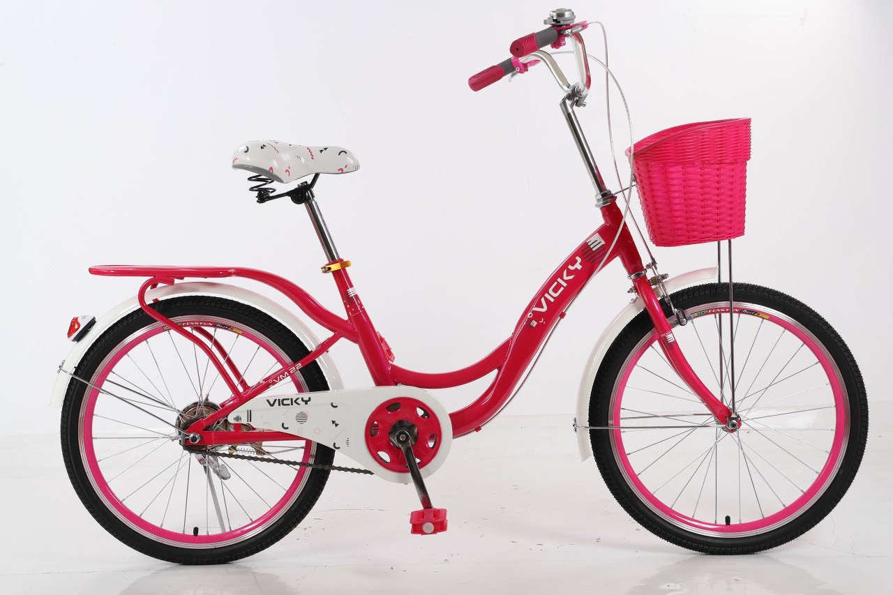 Hình ảnh Xe đạp trẻ em mini cỡ bánh 22 Vicky VM22
