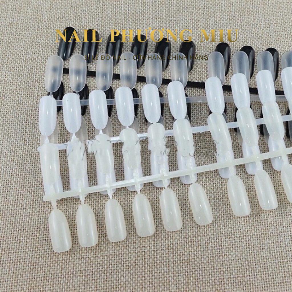 Vỉ Móng Mẫu Form Tròn Học Nail Chuyên Dụng, Bịch 240 Móng, Nhựa Loại 1, Tập Sơn Vẽ Hoạt Hình Làm Nail, Dễ Dàng Tách Ra Nữ Women