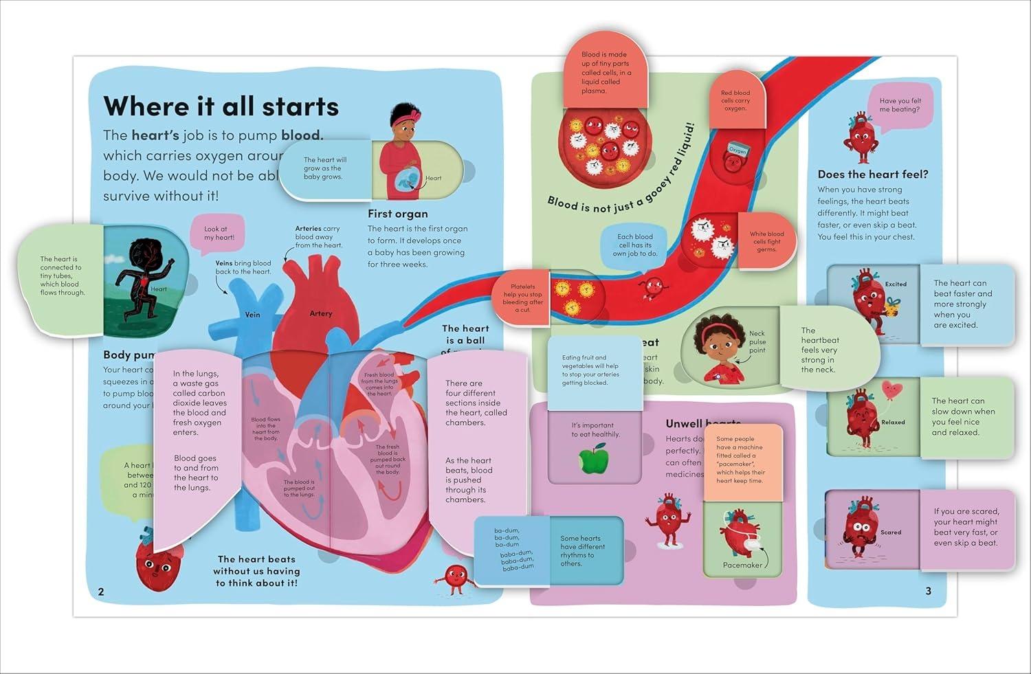 Sách ngoại văn: You And Your Body - A First Look Inside The Human Body