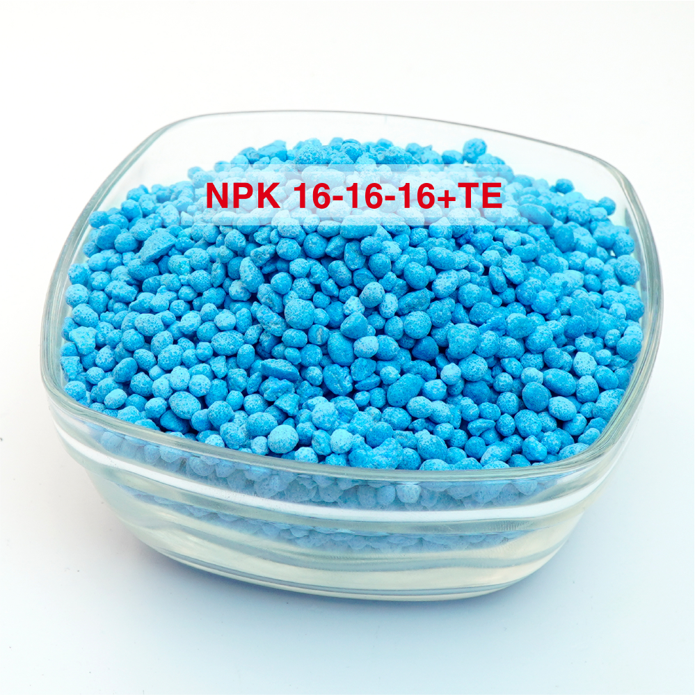 Phân bón NPK 16-16-16+TE I Tốt nhất cho cây sầu riêng