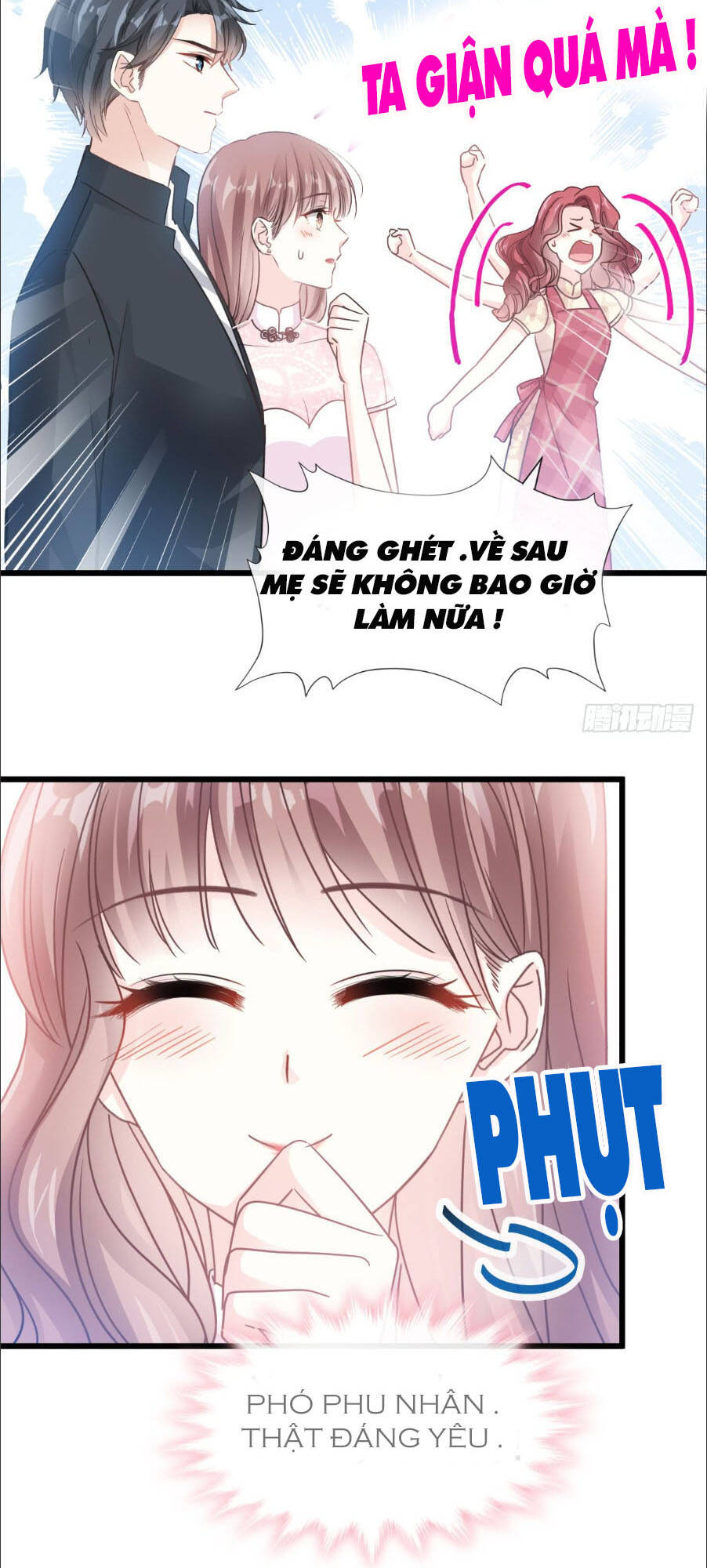 bá đạo tổng tài nhẹ nhàng yêu chapter 41.2 7