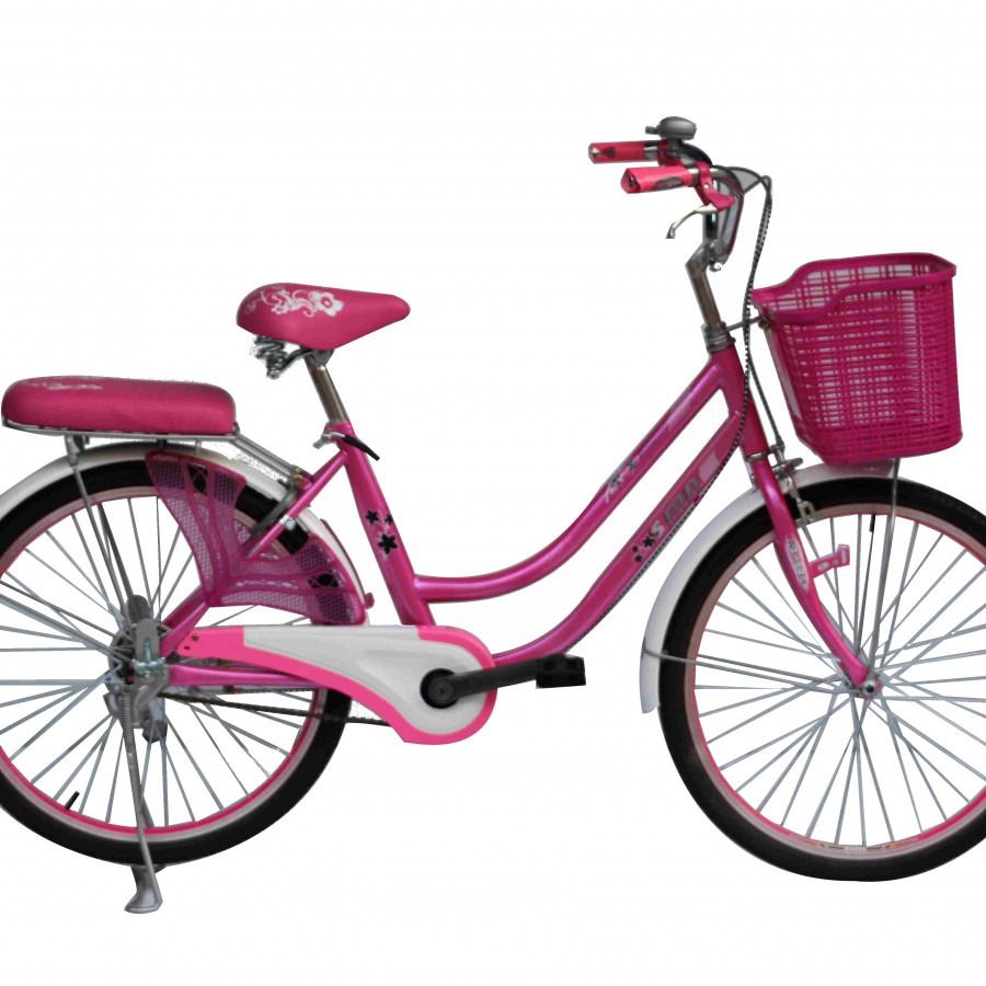 Xe Đạp Thời Trang SMNBike MN 24-01 - 24 inch ( 11+ tuổi )