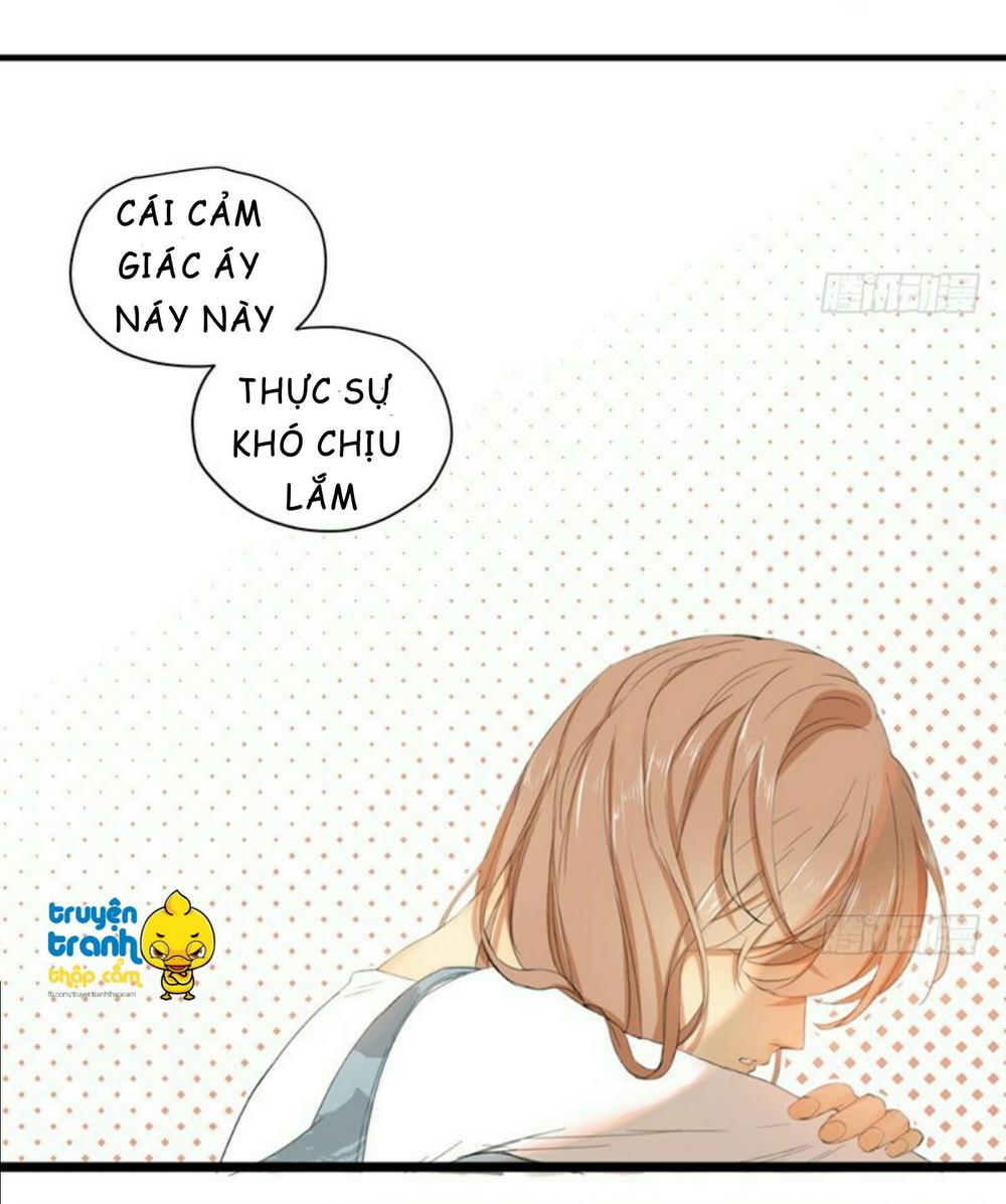 cứu mạng ! loài mèo thống trị thế giới rồi ! chapter 35 12