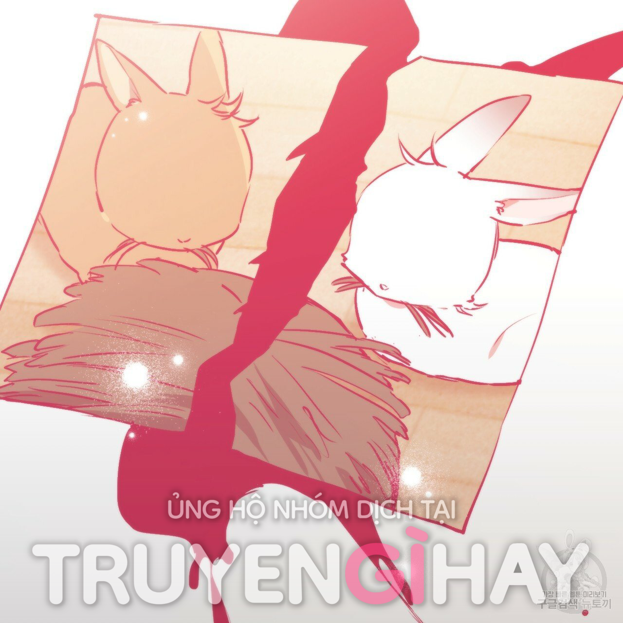 những chú thỏ của hapypy chapter 44 74