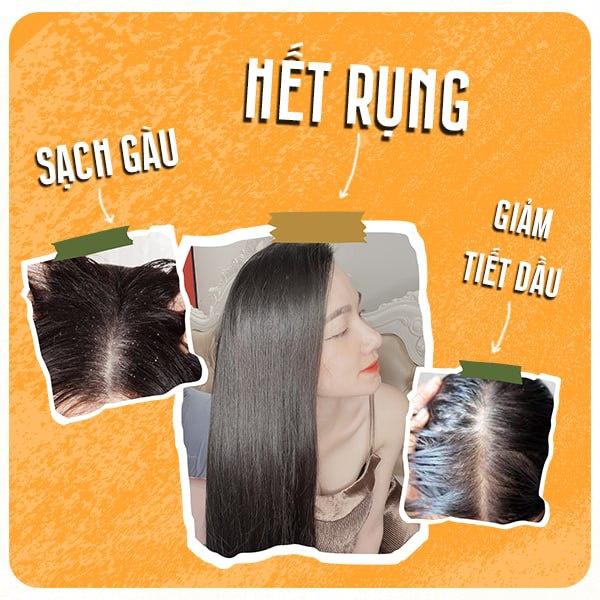 Dầu gội bồ kết cô đặc ️Dầu gội thảo dược sạch gàu, nấm ngứa, chống, ngăn rụng tóc, mọc tóc QUÊ MỘT CỤC- handmade