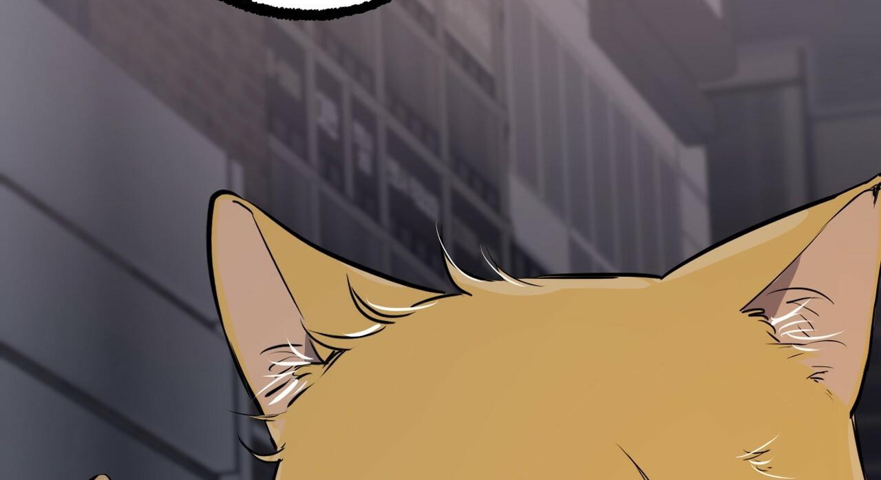 đàn thỏ của habibi chapter 47 277