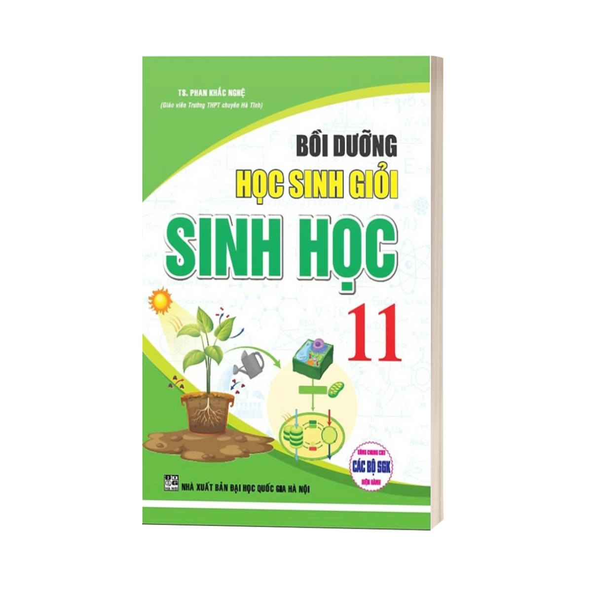 Bồi Dưỡng Học Sinh Giỏi Sinh Học 11 (Dùng Chung Cho Các Bộ SGK Hiện Hành)