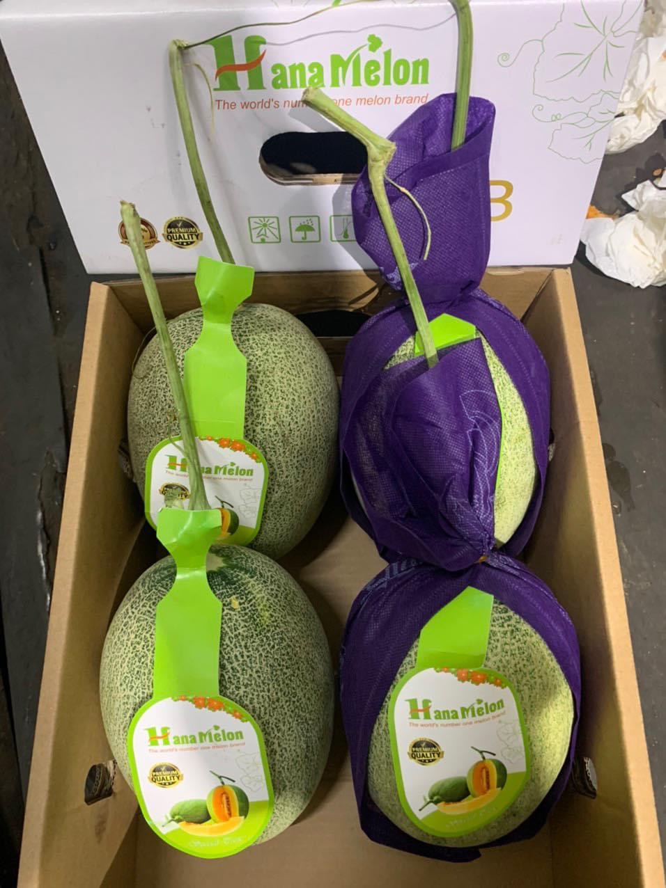 Dưa lưới Đài Loan quả tầm~ 1.65kg