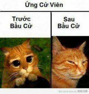 rage comic-troll chapter 52 1