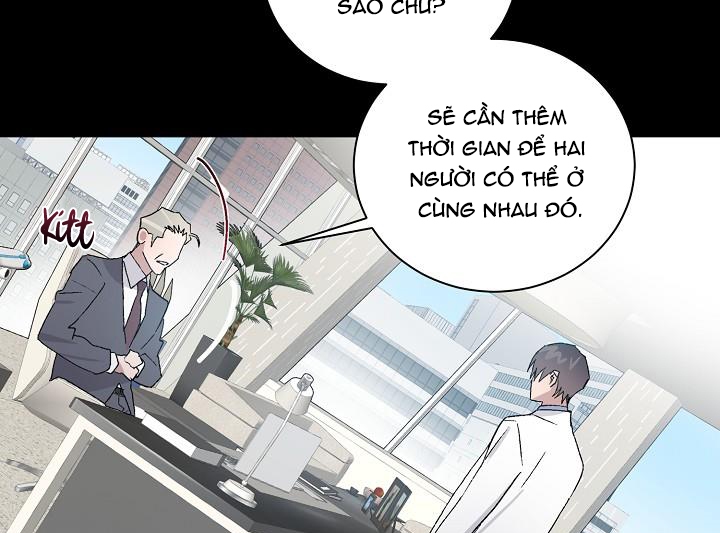 chàng tuấn mã của tôi chapter 29 29