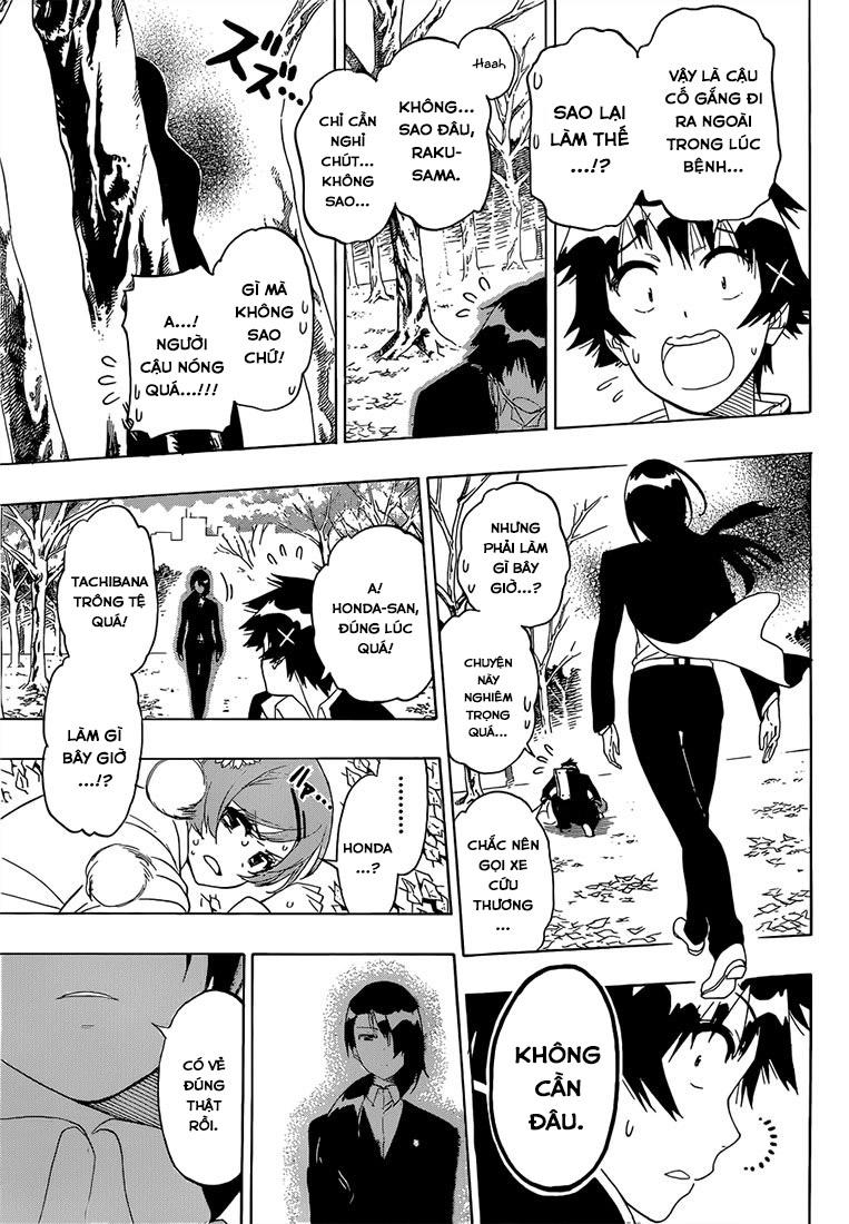 nisekoi - tình yêu giả tạo chapter 181 7